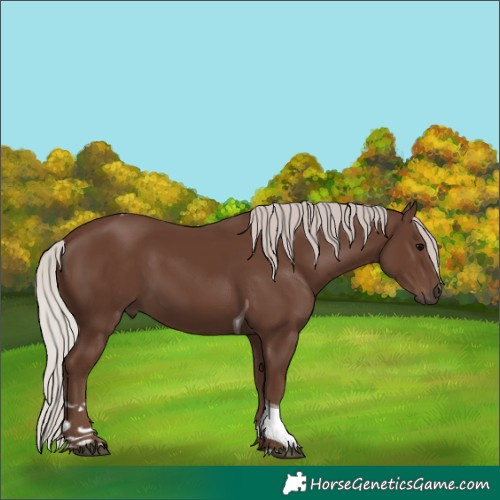 Horse Color:Silver Black Tobiano 