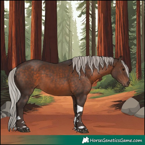 Horse Color:Silver Brown Tobiano 