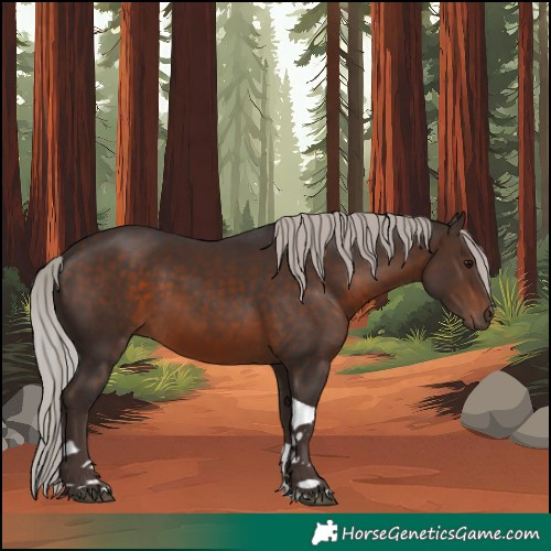 Horse Color:Silver Brown Tobiano 