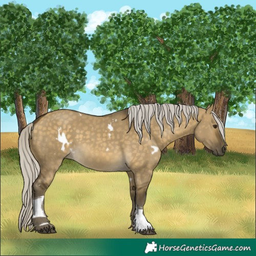 Horse Color:White Spotted Silver Buckskin Dun Tobiano 