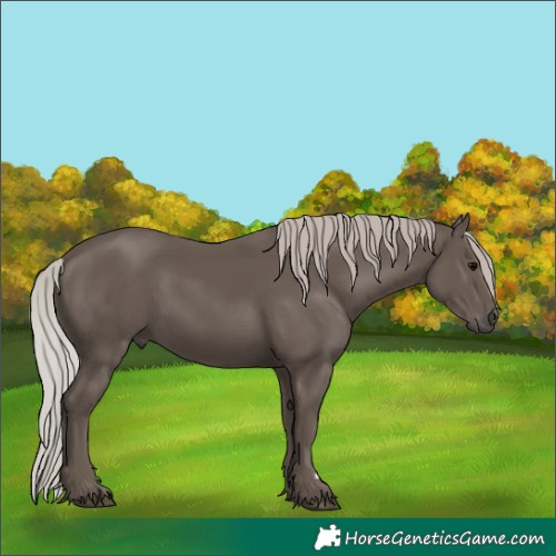 Horse Color:Silver Black 