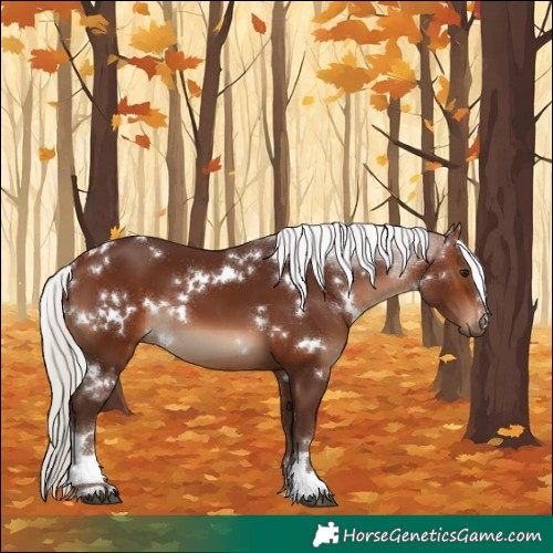 Horse Color:White Spotted Silver Brown 