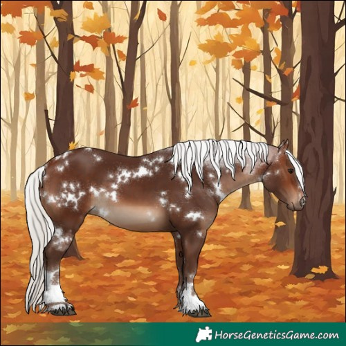 Horse Color:White Spotted Silver Brown 