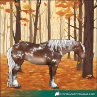 Horse Color:White Spotted Silver Brown 