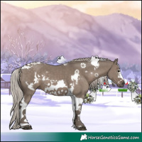 Horse Color:Silver Grullo Tobiano Frame 
