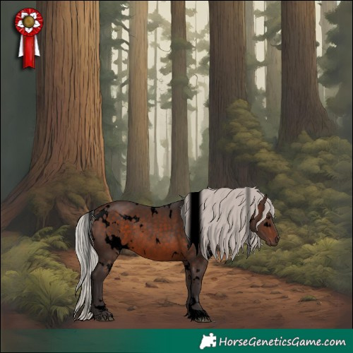 Horse Color:Void White Spotted Silver Brown Rabicano 