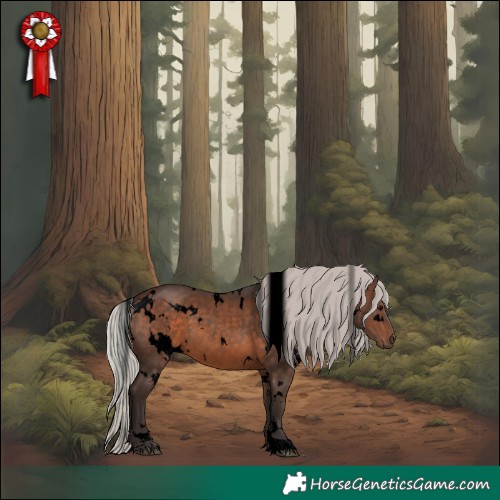 Horse Color:Void White Spotted Silver Brown Rabicano 