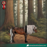 Horse Color:Void White Spotted Silver Brown Rabicano