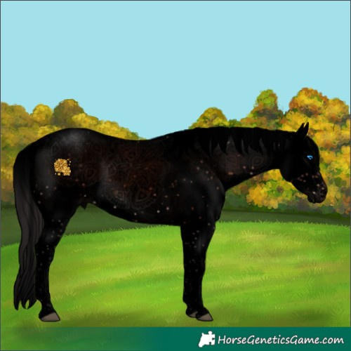 Horse Color:Void Brown Sabino Splash 