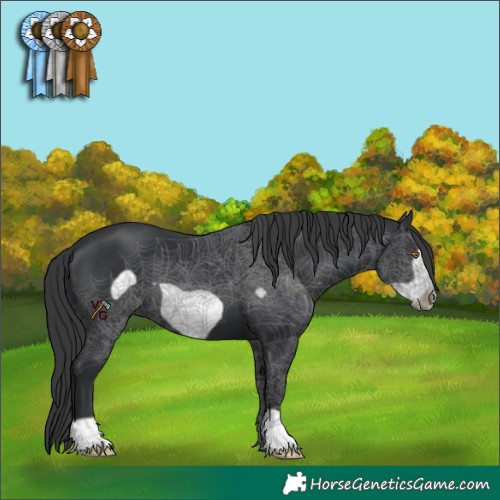 Horse Color:Black Frame 