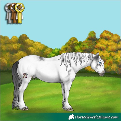 Horse Color:White Spotted Black Frame 