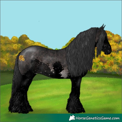 Horse Color:Void Platinum Brown Sabino Splash 