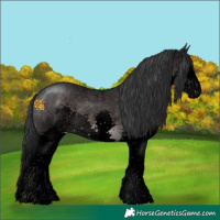 Horse Color:Void Platinum Brown Sabino Splash