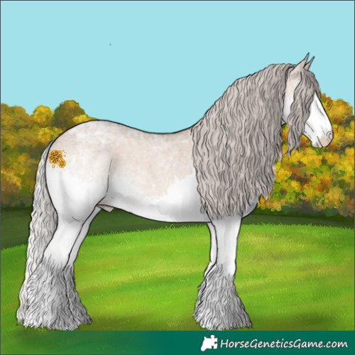 Horse Color:Silver Brown Ice Roan Dun Splash Rabicano 