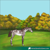 Horse Color:Platinum White Spotted Chocolate Brown Dun 