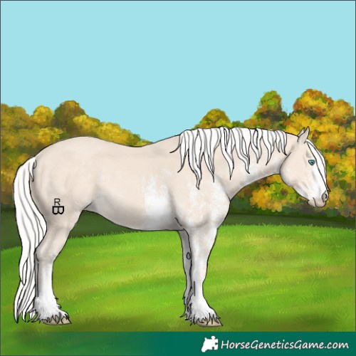 Horse Color:White Spotted Silver Smoky Creme