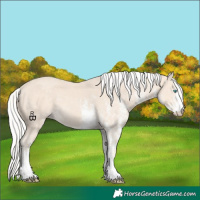 Horse Color:White Spotted Silver Smoky Creme 
