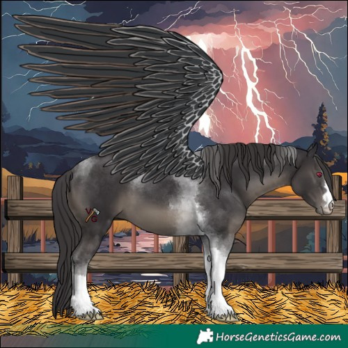 Horse Color:Smoky Black Tobiano 