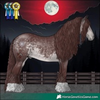 Horse Color:Platinum Chocolate Buckskin 