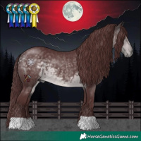 Horse Color:Platinum Chocolate Buckskin 