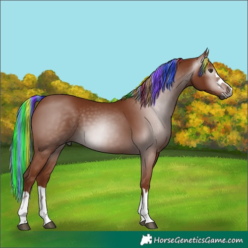 Horse Color:Gray Painted Chestnut 