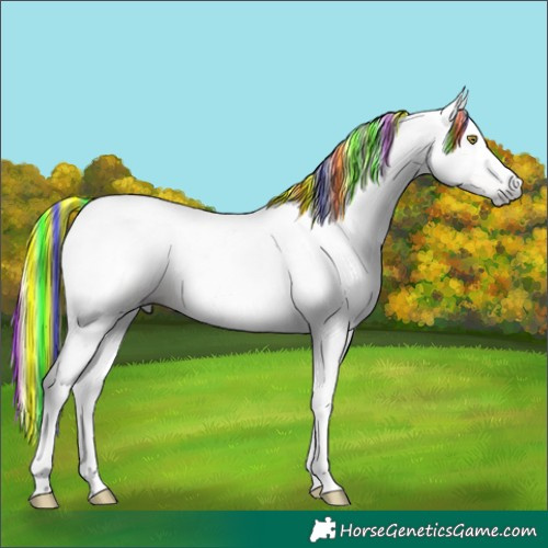 Horse Color:Gray Painted Gold Champagne 