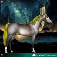 Horse Color:Gray Painted Bay 