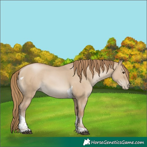 Horse Color:Grullo Pearl Tobiano 