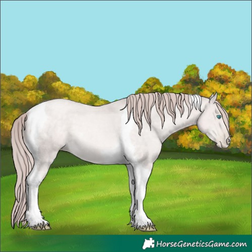 Horse Color:Platinum Buckskin Pearl Tobiano 