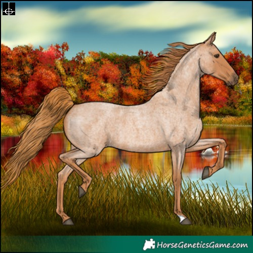 Horse Color:Red Roan 