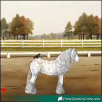 Horse Color:White Spotted Red Dun Blanket 