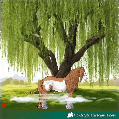 Horse Color:Chestnut Frame 