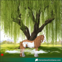 Horse Color:Chestnut Frame 
