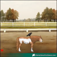 Horse Color:Chestnut Frame 