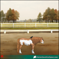 Horse Color:Chestnut Frame 