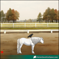 Horse Color:Palomino Dun Sabino Splash Appaloosa