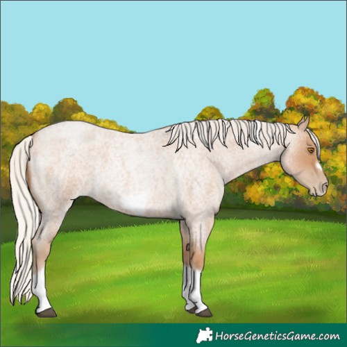 Horse Color:Silver Blue Roan Pearl Tobiano Frame 