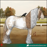 Horse Color:White Spotted Grullo Pearl Rabicano 