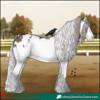 Horse Color:White Spotted Silver Black Splash Varnish 
