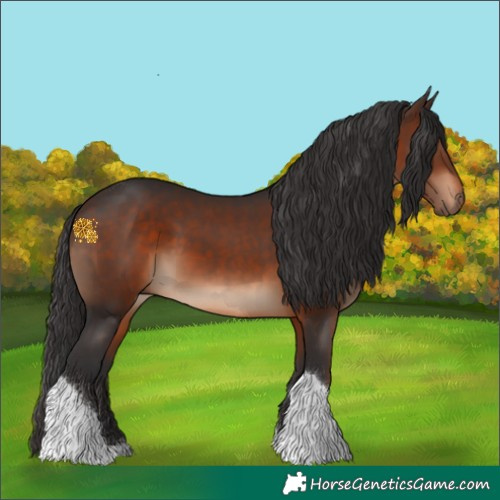 Horse Color:Brown Tobiano 