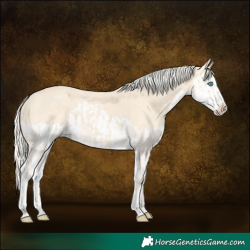 Horse Color:Cremello Splash  and Cremello Splash 