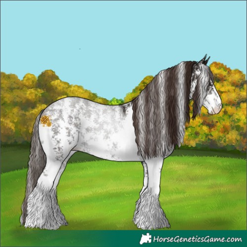 Horse Color:Liver Chestnut Ice Sabino 