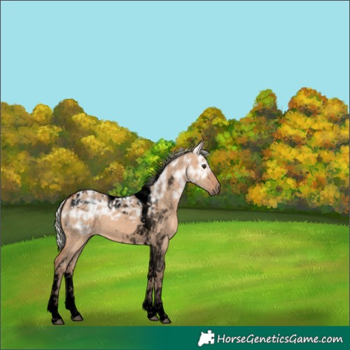 Horse Color:Void Silver Bay Ice Dun Tobiano 