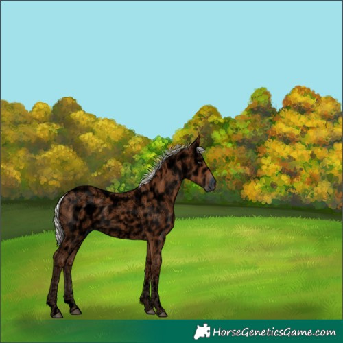 Horse Color:Void Silver Bay Ice Tobiano 