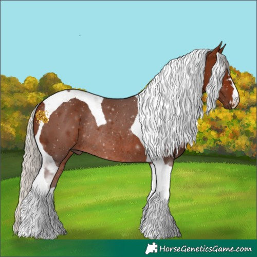 Horse Color:Silver Brown Tobiano Rabicano 