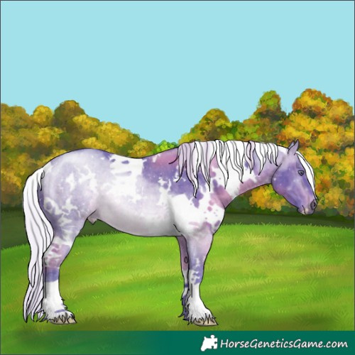 Horse Color:Watercolor White Spotted Silver Brown Chinchilla 
