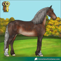 Horse Color:Silver Brown