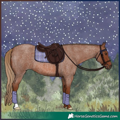 Horse Color:Red Roan 