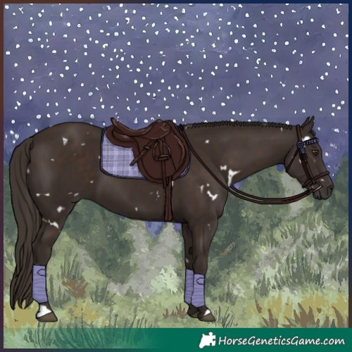 Horse Color:White Spotted Liver Chestnut 