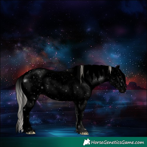 Horse Color:Void Silver Brown Dun Sabino 